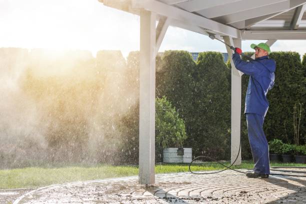 Professional Pressure Washing in Ettrick, VA